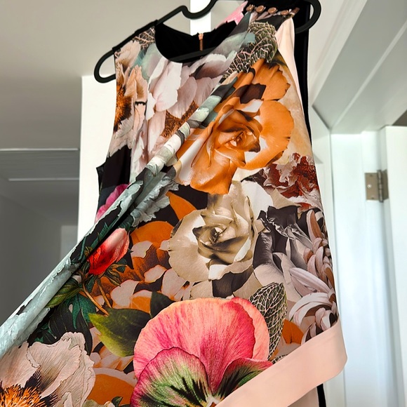 Ted Baker Sz 2 (US 6) dress - Picture 4 of 4